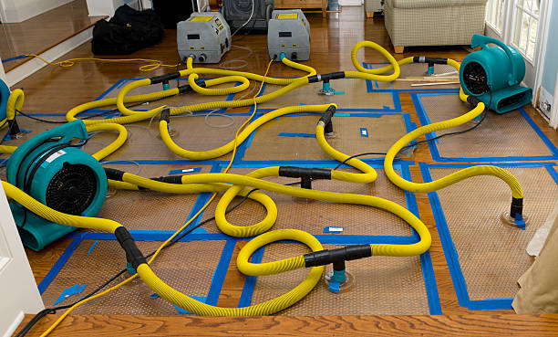 Professional Water Extraction technician working in Aubrey, TX